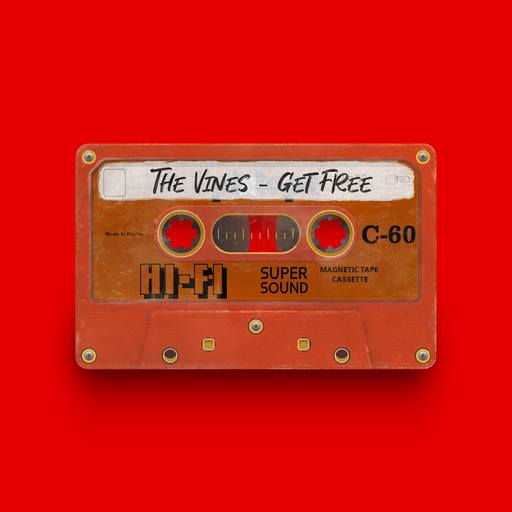 07980 - The Vines - Get Free